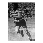 1974 – Campeões Nacionais de Futebol pela 14ª vez, sob o signo de Yazalde