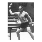 1981 - 12º título nacional de Ténis de Mesa