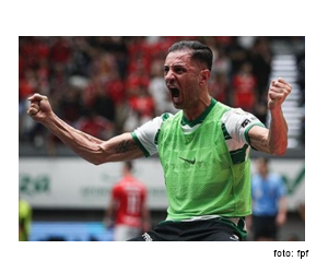 Cardinal – “Tripeiro” com raça de Leão!