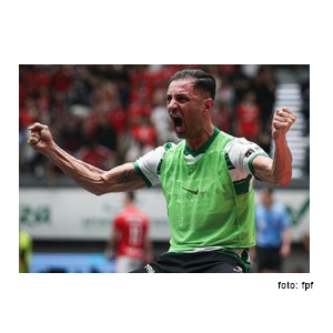 Cardinal – “Tripeiro” com raça de Leão!