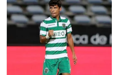 2014 – Leões conquistam pela 13ª vez Taça de Honra da AFL