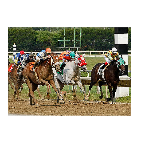 Apostas Desportivas – Um guia completo para iniciantes e experientes